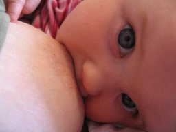 breastfeeding at 4 months
