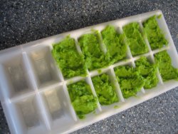 pea puree in ice-cube tray ready for freezing